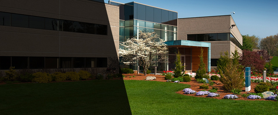 Bellport Landscapers