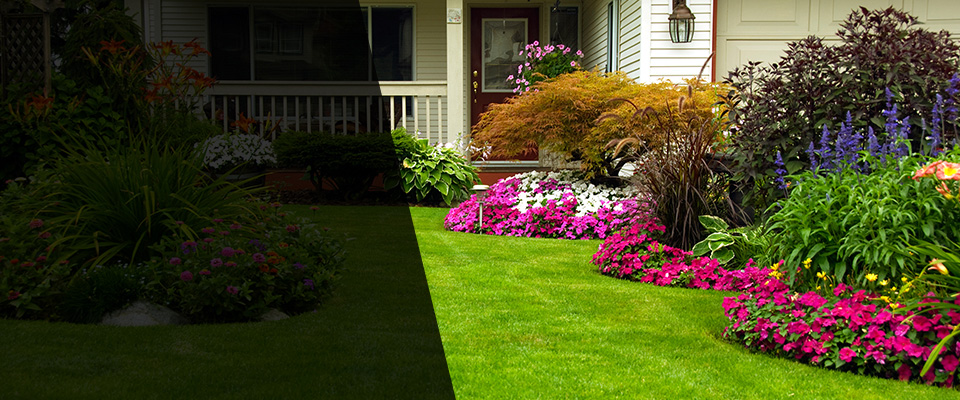 Bellport Landscapers