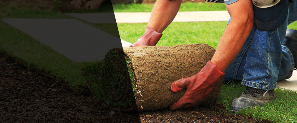 Bellport Landscapers